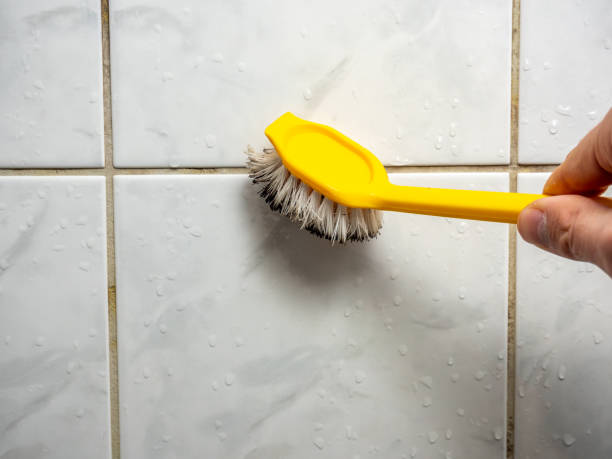 Best Best Mold Removal Companies  in Tunkhannock, PA