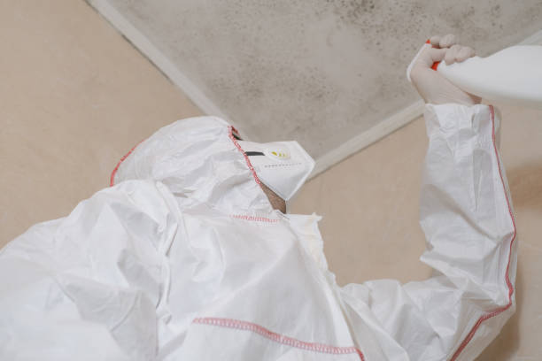 Best Toxic Mold Removal  in Tunkhannock, PA