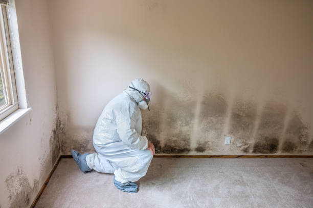 Best Crawl Space Mold Removal  in Tunkhannock, PA